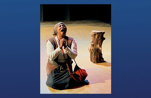 Lion and Phoenix Productions - "Harriet Tubman: One Woman's Journey"