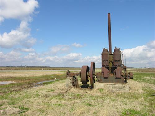 plantation pump in field