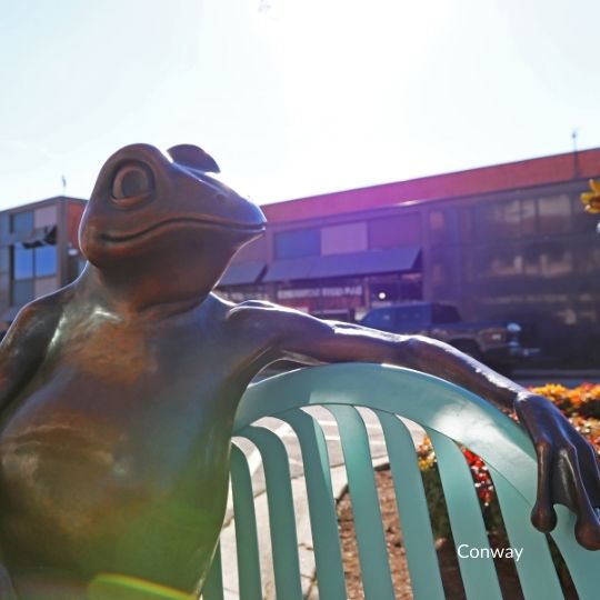 Toad Statue sitting on bench, Conway