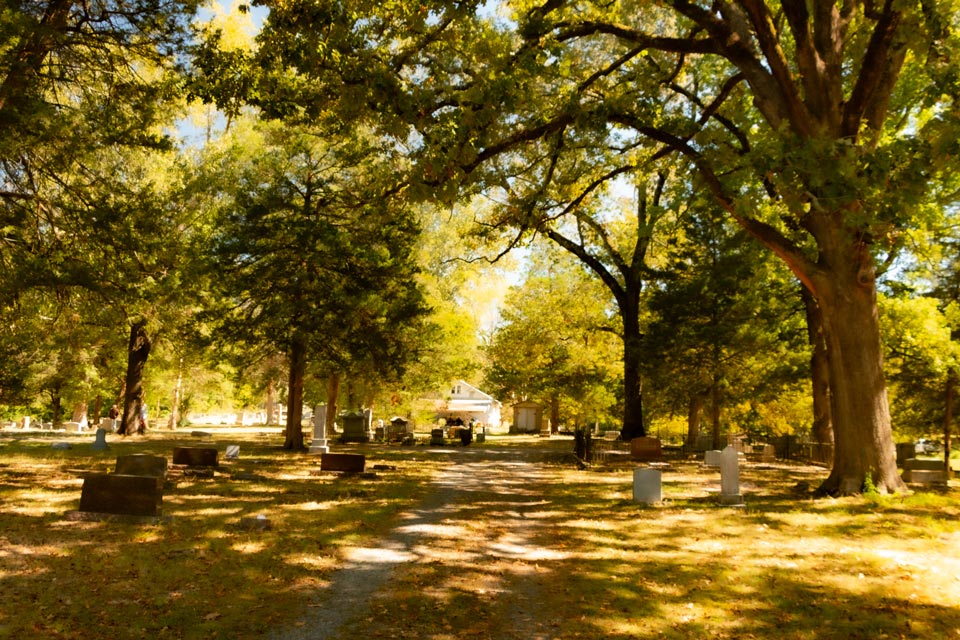 Oakland Cemetery with large trees providing shade over graves. 