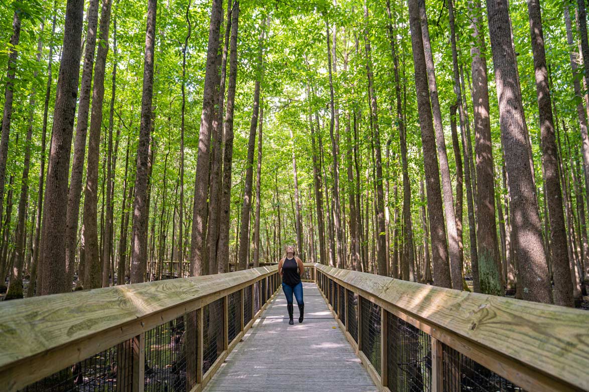 A woman standing on the raised trail at Louisana Purchase State Park.