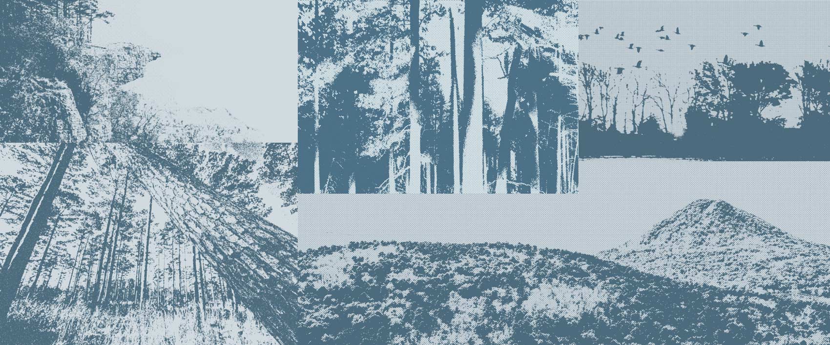 A collage of edited images of various landscapes in Arkansas.