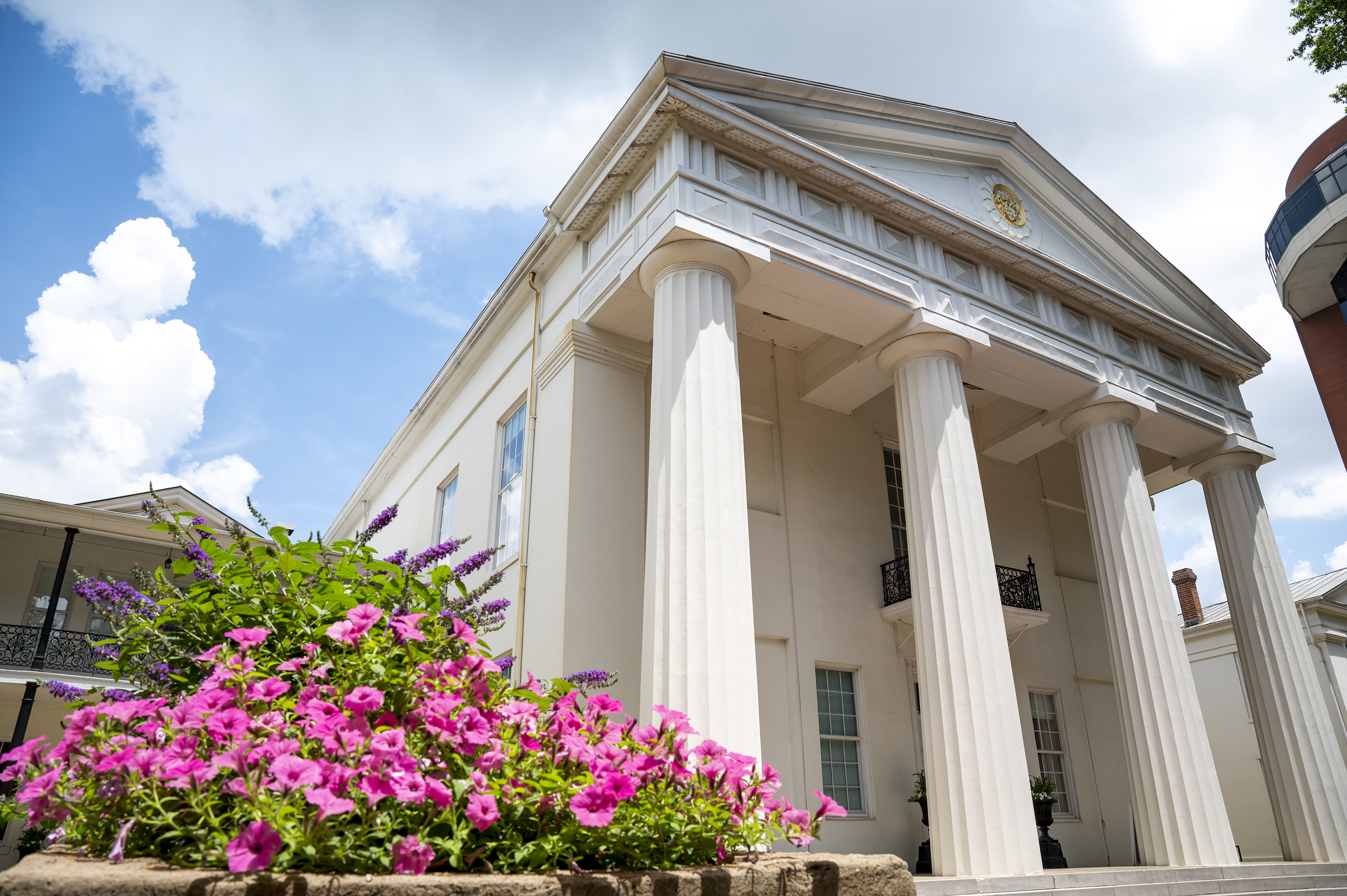 The Old State House museum looking up from the left. Pink and purple flowers feature in the lower left.