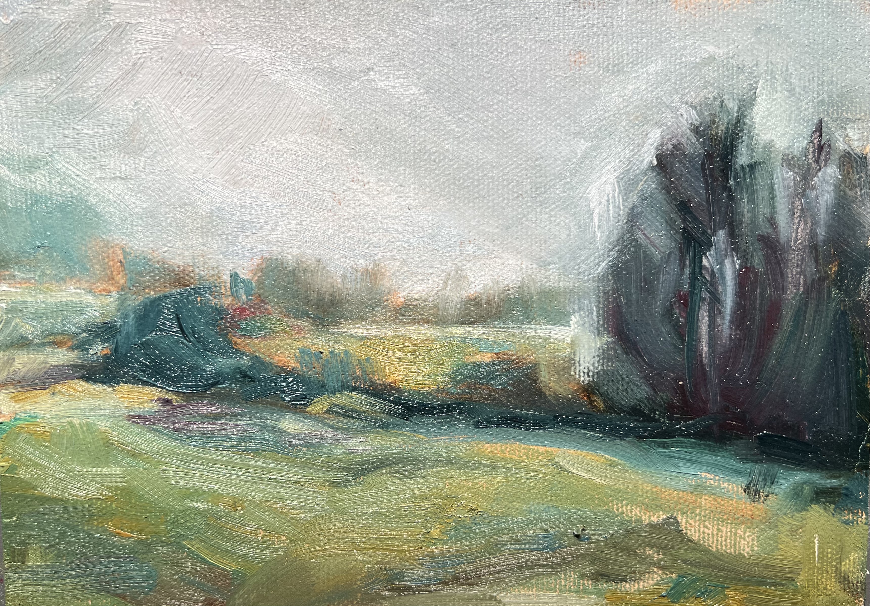 Jane Bonady Brackin