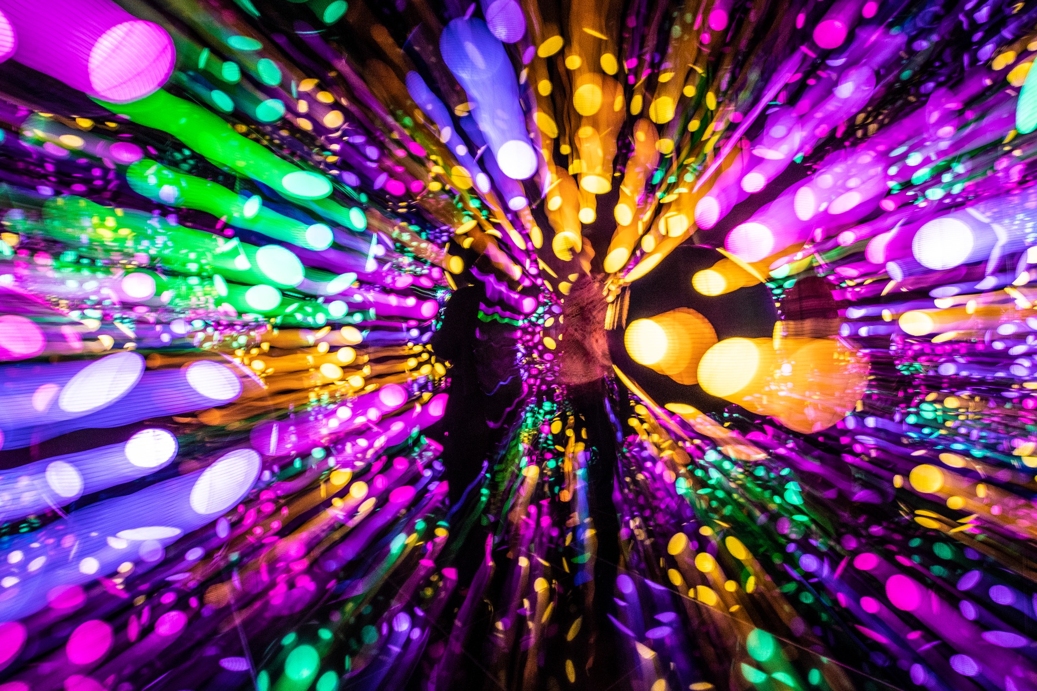 Panel: 'Art Trends in Arkansas' set for Jan. 7 online only