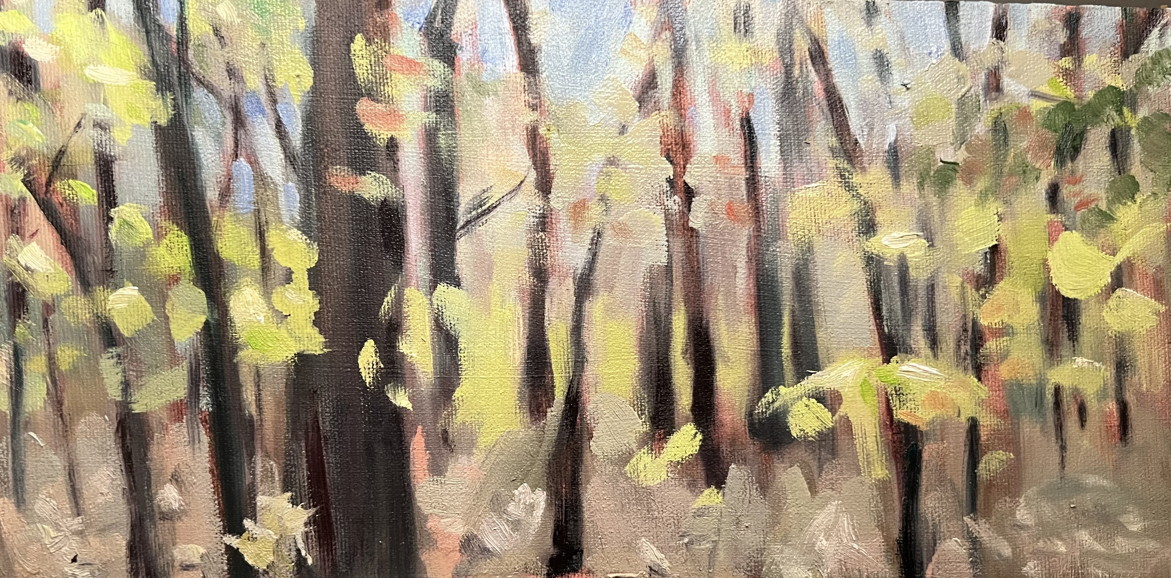 Jane Bonady Brackin