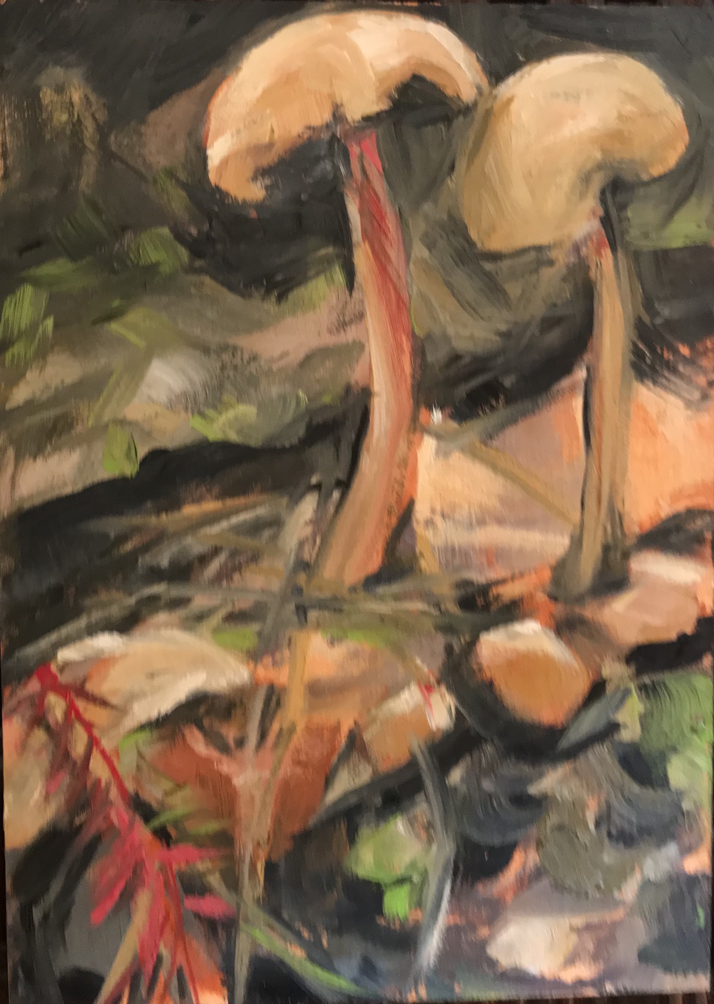 Jane Bonady Brackin