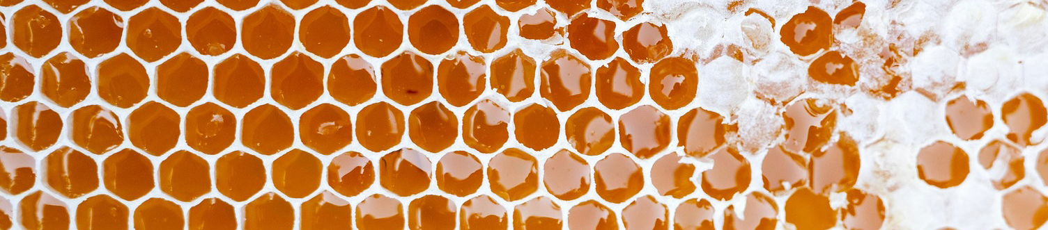 HoneyComb2