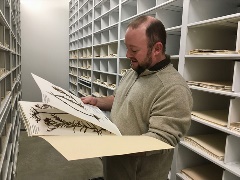 Staff looking at herbarium specimen within compactor shelf area.