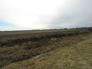 Ashley's and Jones' Station Battlefield