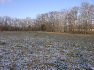 Crash Site of AC 41-7441