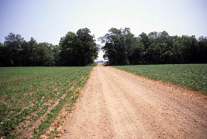 Memphis to Little Rock Road, Blackfish Lake to Hill Lake Segment