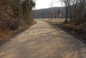 Van Buren to Vineyard Road, Rodeo Crossing Road Segment