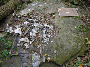 Round Top Mountain Crash Site