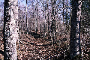 Fitzhugh's Woods Battlefield