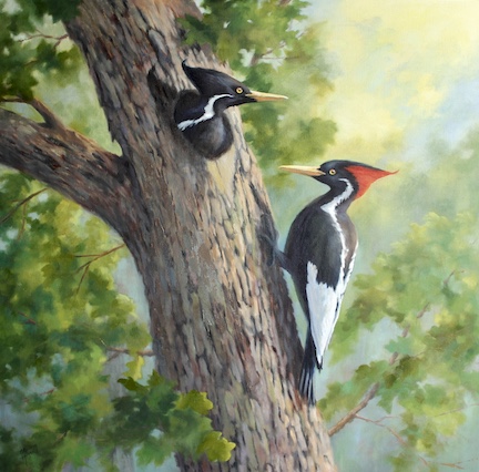 Julie Gowing Hayes