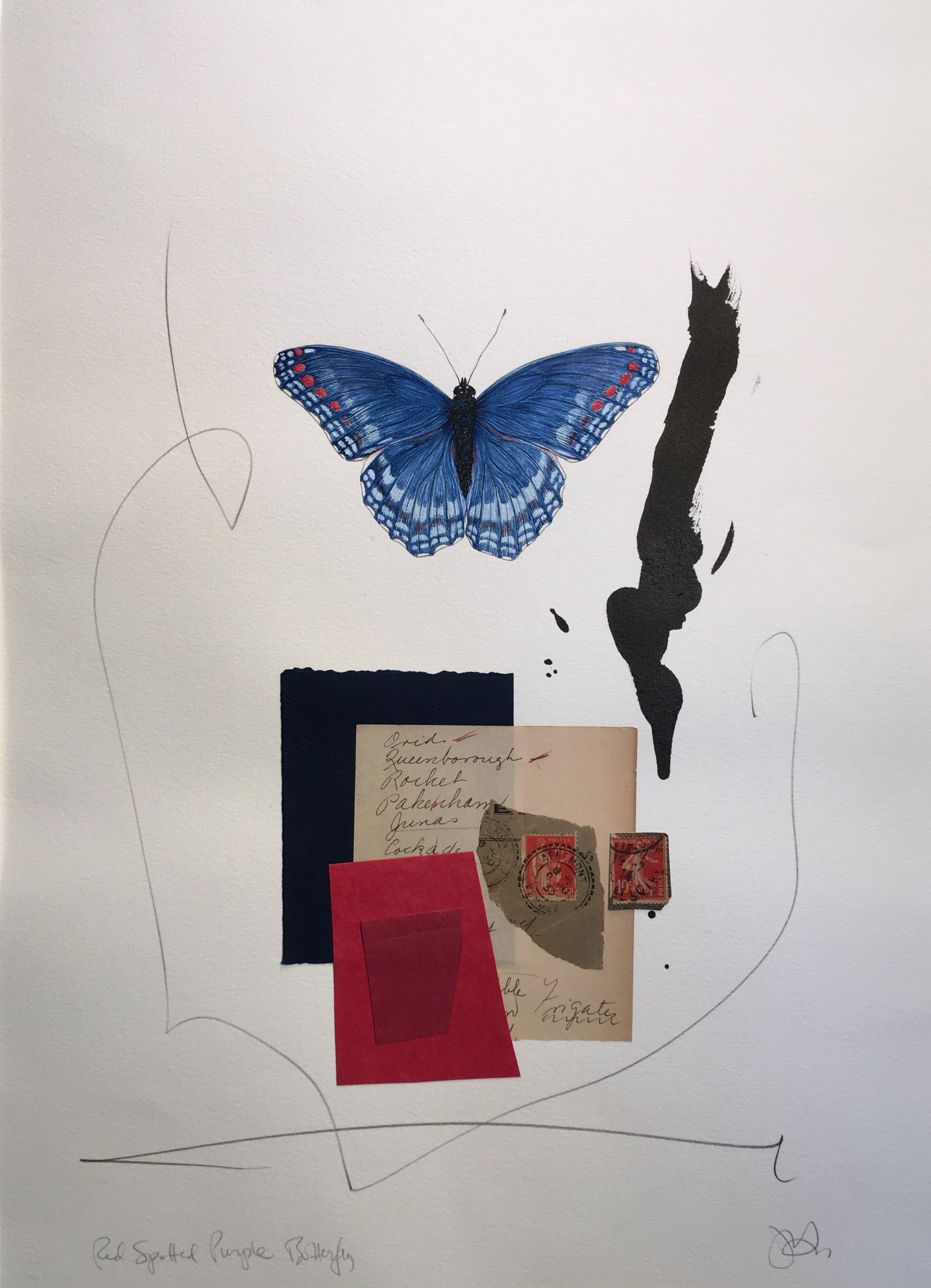 Jeri Hillis