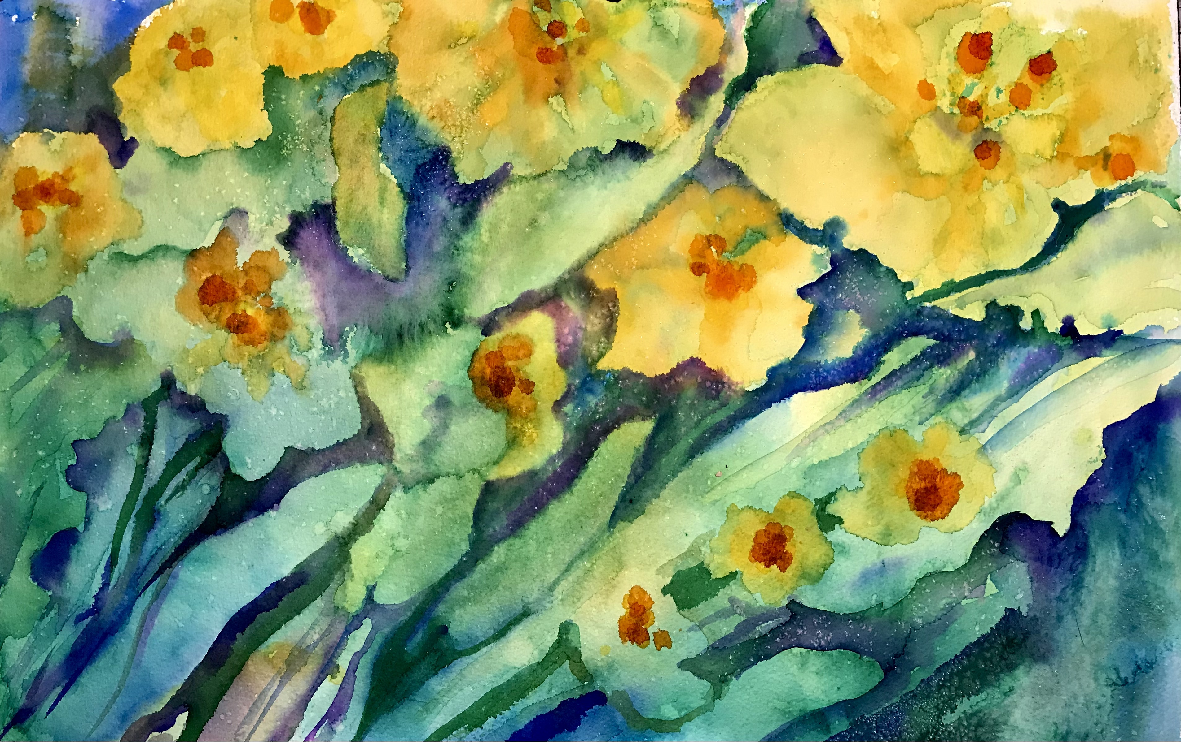 Judith Redditt