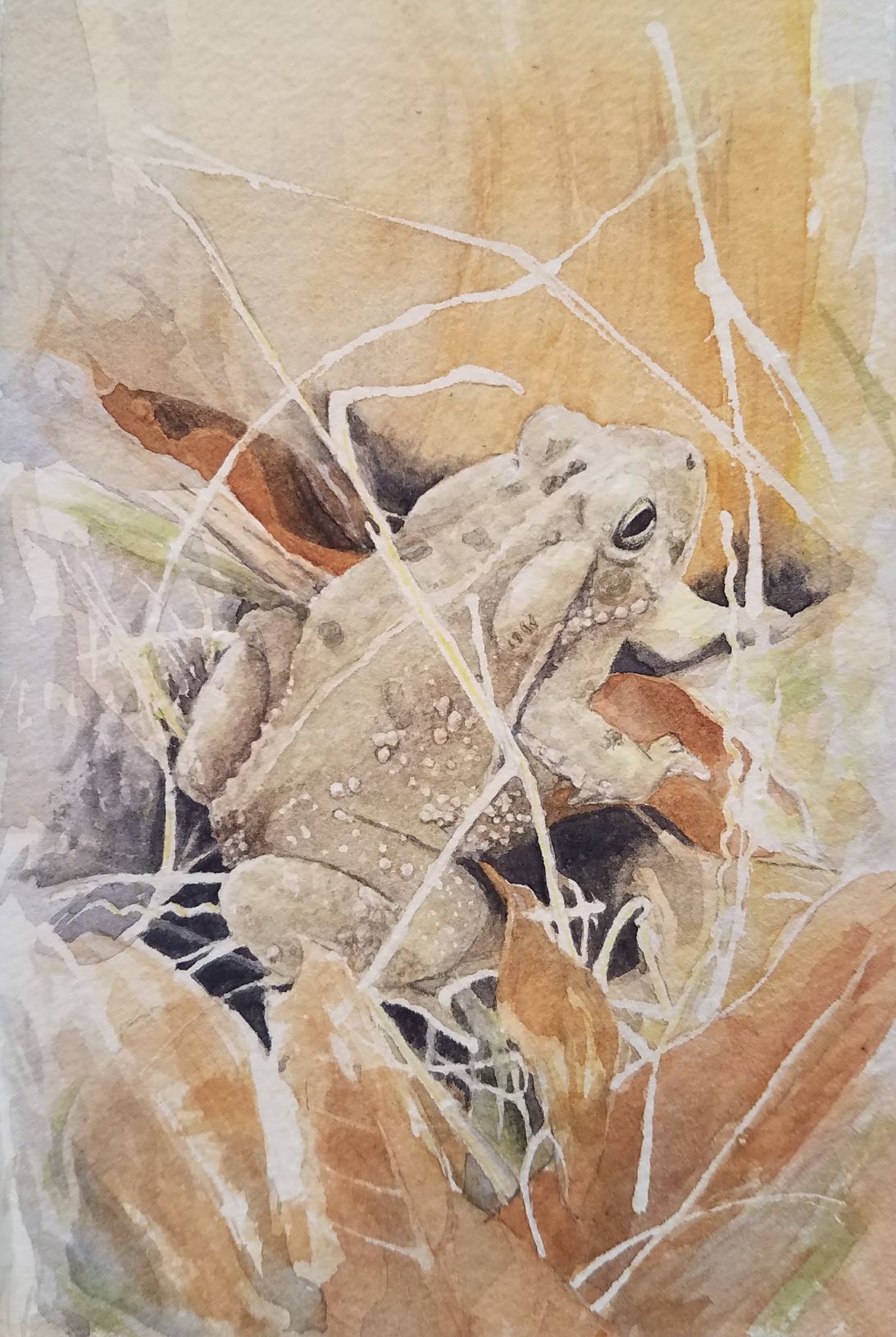 Katy Killingsworth