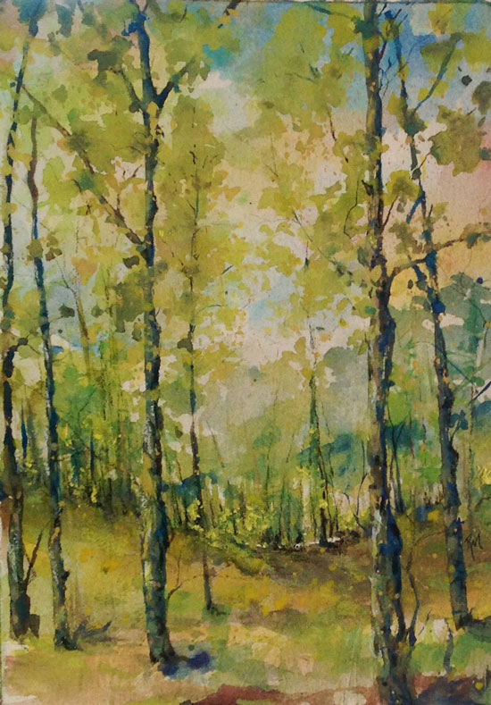 Robin Miller-Bookhout