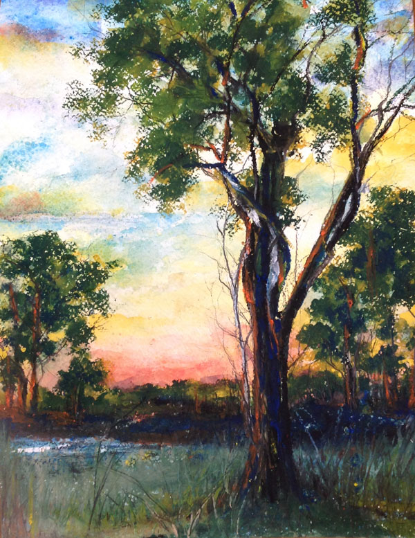 Robin Miller-Bookhout