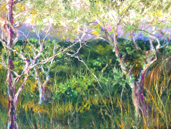 Robin Miller-Bookhout