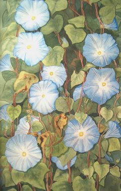 Mary Rush