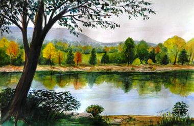 Dorothy Imhauser