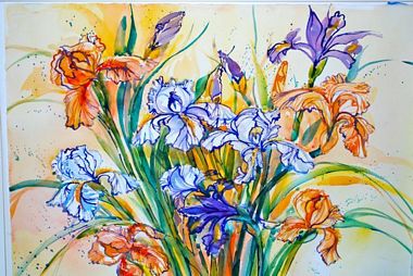 Rebecca Johnson