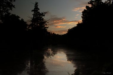 Lynn Reinbolt