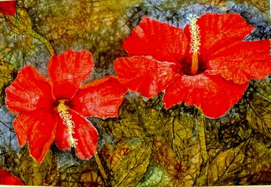 Linda Shearer