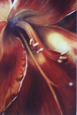 Suzanne deShazo Waggoner