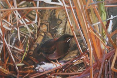 Suzanne deShazo Waggoner