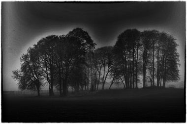 Ray Wallace