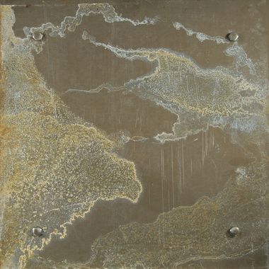 LaDawna Whiteside