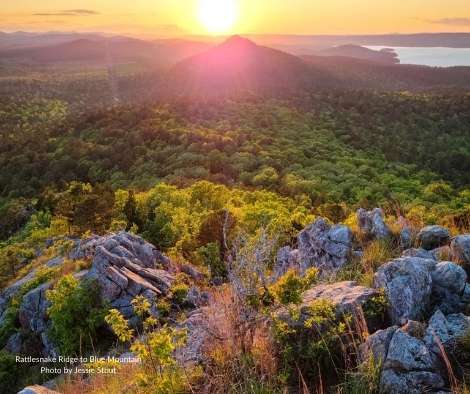 Blue Mountain Natural Area