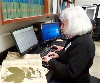 DAH-ANHC-Angela-Corlett typing transcription