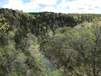 Cove Creek Natural Area 50th Staff Cove Creek Natural Area