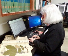 Angela Corlett transcribing Herbarium transcription