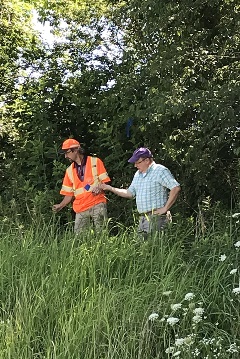 Team survey cogongrass Cogongrass team survey