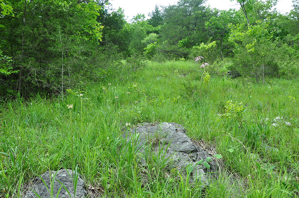 Forty Acres Added to Devil's Eyebrow Natural Area