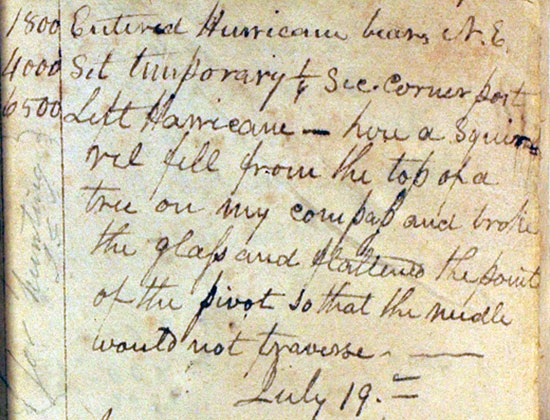 GLO hurricane squirrel