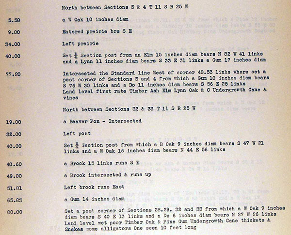 Transcript chains links