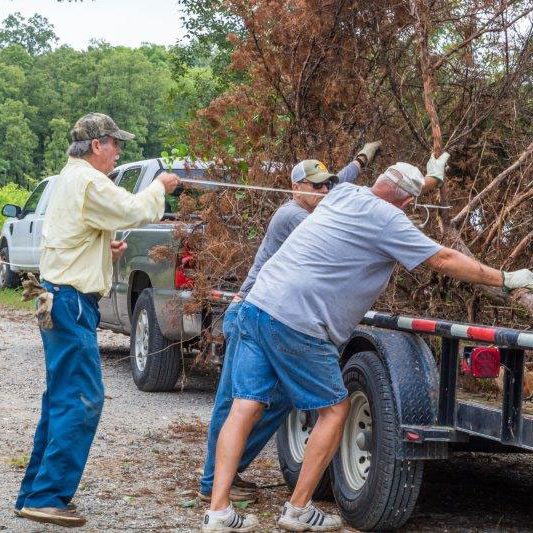 Neighbors at Middle Fork Barrens Pitch In to Remove Cedar
