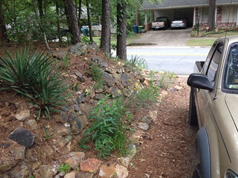 DAH-ANHC-rock-garden-Witsell rock garden