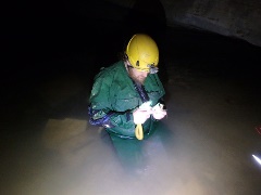 Dustin Lynch survey Hell Creek Cave