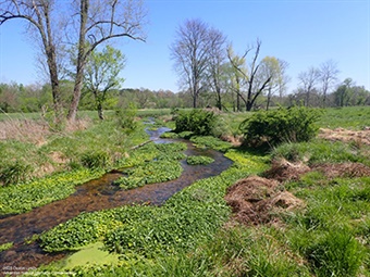 Healing Springs Natural Area 50th Staff Healing Springs Natural Area