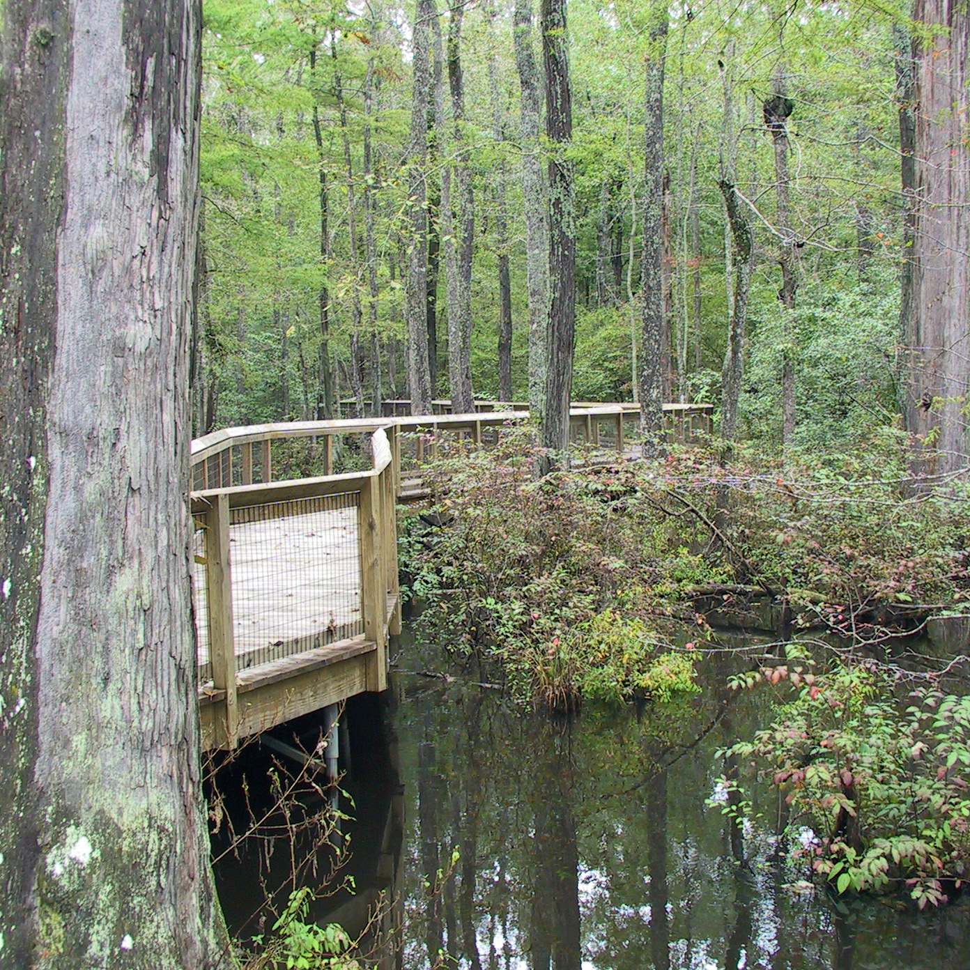 LC boardwalk