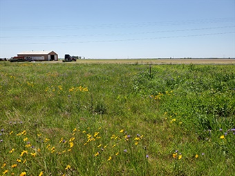 Railroad Prairie Natural Area 50th Staff Railroad Prairie Natural Area