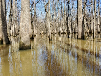 Smoke Hole NA enews Smoke Hole